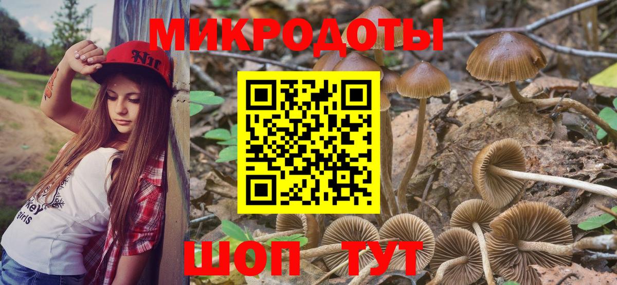 наркотики  Вход с VPN  Кудрово  Псилоцибиновые грибы прущие грибы 